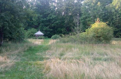 Domek i jurta nad rzeką - Foto 2