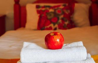 Dworek Tradycja - Foto 18