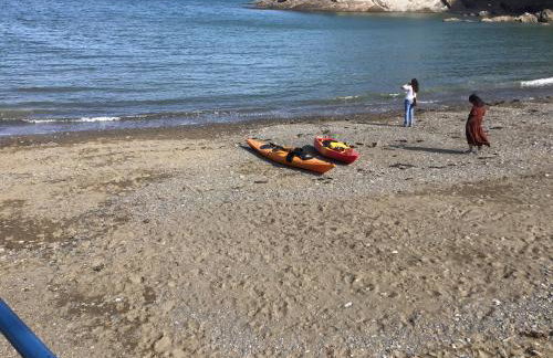 Peaceful Paradise - Photo 32