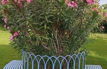 Julietta Suites - Photo 37