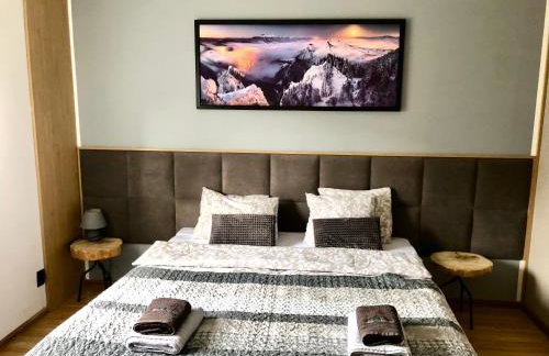 Willa Jagoda duży domek w górach 12-15 osób,jacuzzi, kominek,bilard - Foto 33