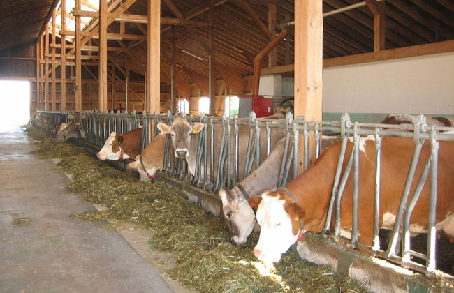 Apartment in Ingenried With Bavarian Alps View - Foto 40