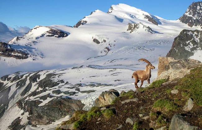 Chalet in Binn Near Forest & Scenic Valley - Foto 37