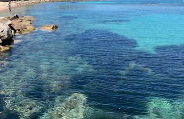 T2 d'exception 100m plage terrasse vue mer et montagnes - Foto 37