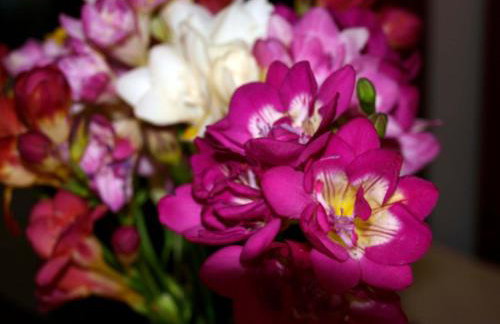 Popy Apartments - Foto 35