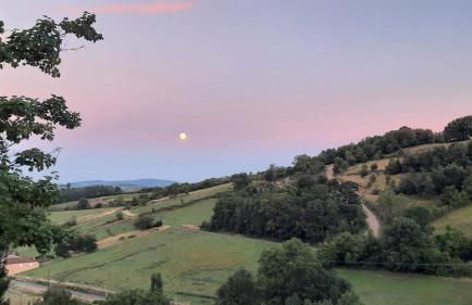 Beaujolais - Maison pierres dorées - Foto 17