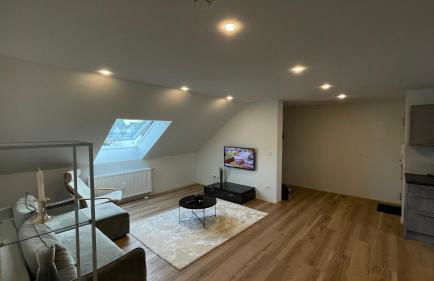 Casa Grande mit 3 Apartments - Foto 4