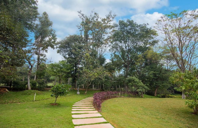 Tranquil Woods By Jade - Foto 22