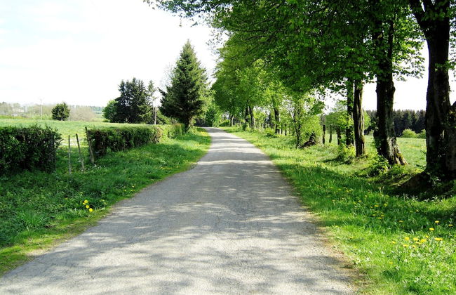 Boutique Chalet in Büllingen near Lake - Photo 38