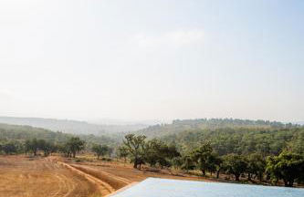 Herdade do Carregouçal - Foto 33