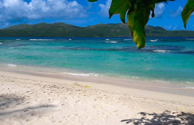 El Pelicano Apart-Hotel - Foto 66