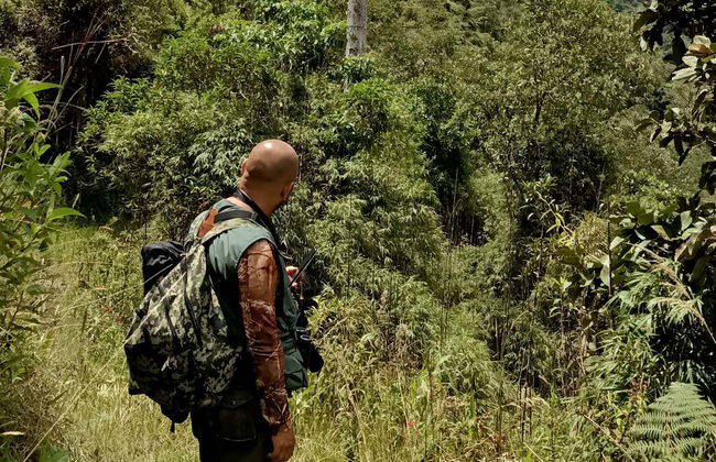 Bird-Watching in the Palmas de Cera Sanctuary - Photo 5