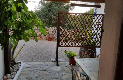 Tvrdic Honey - Photo 19