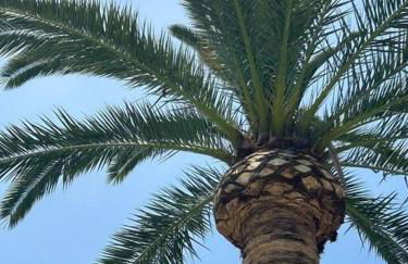 Disneyland close FAMILY home! - Photo 59