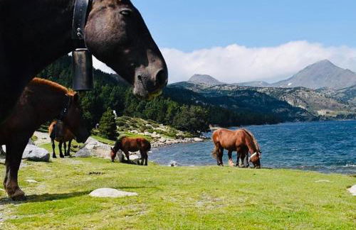 STUDIO LA POULE AU POT pieds des pistes font Romeu Pyrénées 2000 - Foto 33