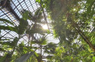 La Suite en Rose - Spa - Lyon Centre Brotteaux - Foto 29