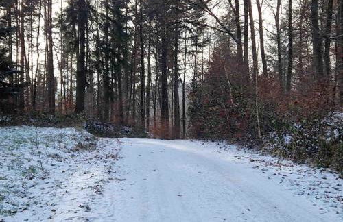 3 Zimmer Neubauwohnung in der schwäbischen Toskana - Foto 23