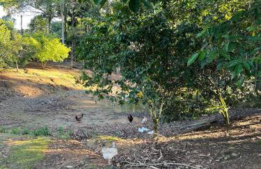 Chale Cabana Luci em Blumenau - Photo 18
