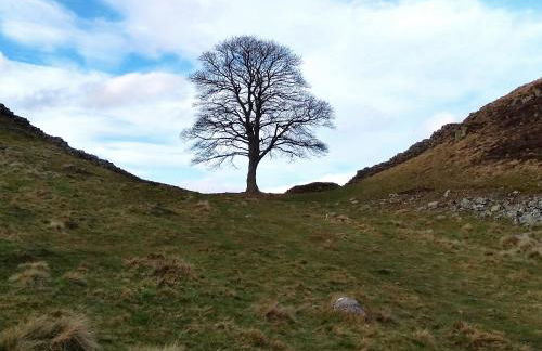 The Nook Cottage In The Heart Of Northumberland - Foto 23