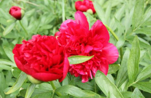 Ferienwohnungen-In-Bacharach - Foto 18