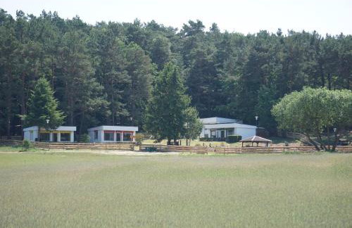 Bungalow Ückeritz - Foto 24