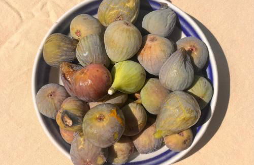 Cabanon moderne, les pieds dans l'eau, 2 chambres - Foto 17