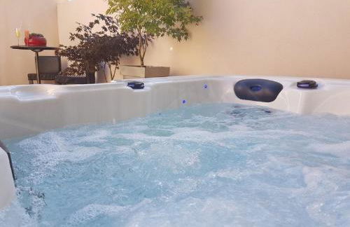 Gîte Les Roseaux Spa extérieur privatif inclus - Foto 4