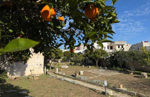 Residenza Storica PARCO LANOCE - Foto 52