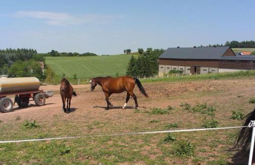 Apartment Ferienwohznung Huhle by Interhome - Foto 8