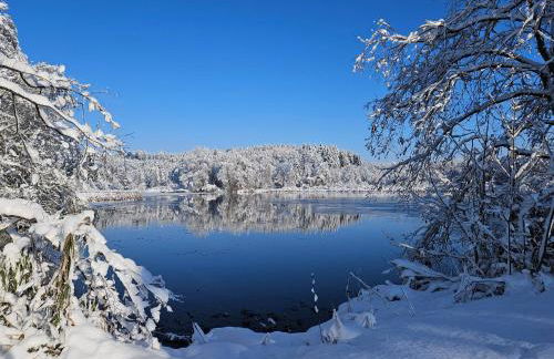 Ferienwohnung Stiefel mit Garage & AusZeit Card - Foto 52