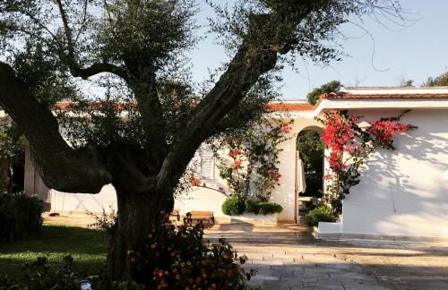 Villa sul mare Rosa Marina - Foto 33