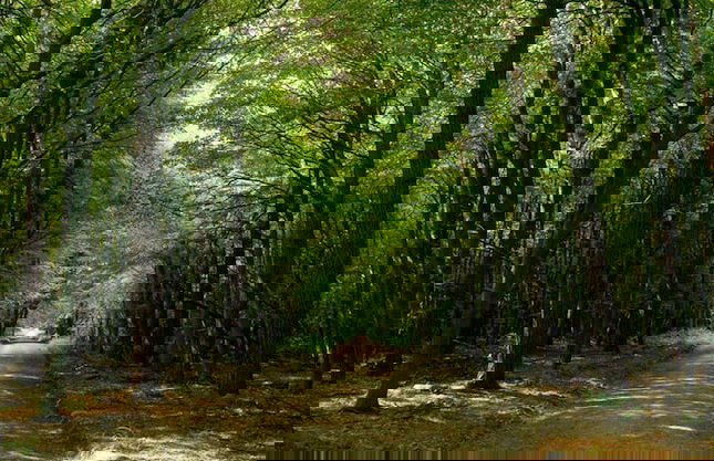 THE OLD Cart House - Foto 39