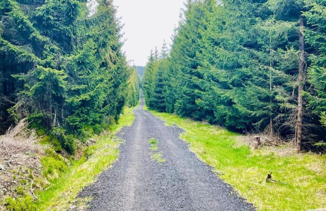 Lavish Holiday Home in Abertamy near Ski Area - Photo 35