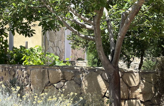 Vi Ja Villa Janas - Photo 31