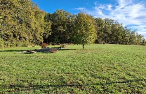 Le Vignal - Maison typique Périgourdine - Foto 24