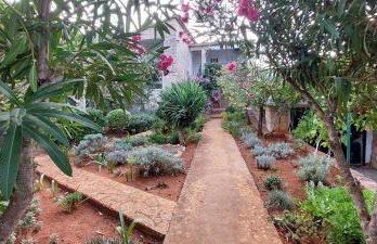 Apartments Basina - Foto 80