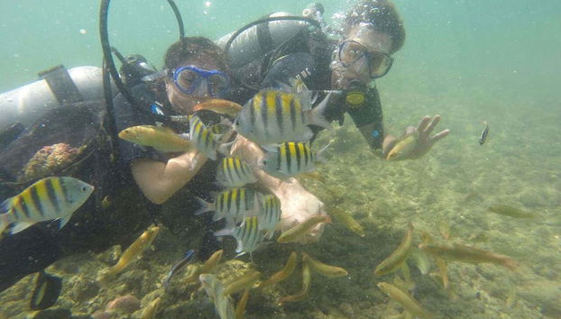 Bajo las aguas de la isla de Caitá