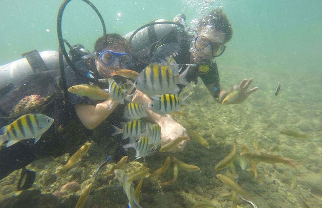 Morro de São Paulo Diving Introuction - Photo 5