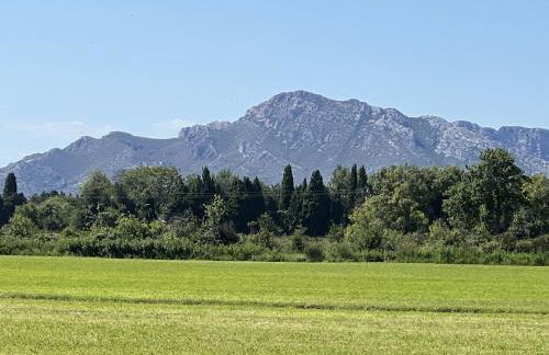Mazet au pied des Alpilles, avec Piscine & Pétanque - Foto 29