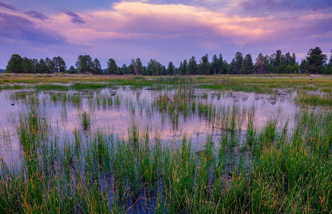 Backland Luxury Nature Resort - Grand Canyon - Foto 50