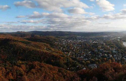 Ferienwohnung in Rheinnähe - Foto 19