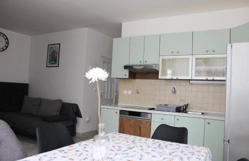 Beautiful vacation apartment Ivana in Novalja - Photo 3