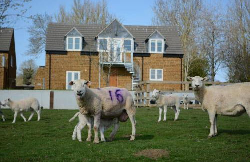 Field View - Photo 2