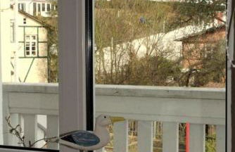 Ferienwohnung (2) in der Altstadt - Fam.Harder - Foto 7