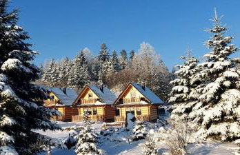 Domki Zielone Skałki - Foto 22