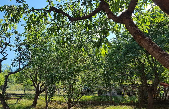 Charmantes Ferienhaus mit Naturgarten - Foto 17