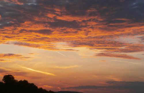 Tenuta Colverano - Foto 45