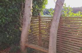 SunsetView - Foto 23