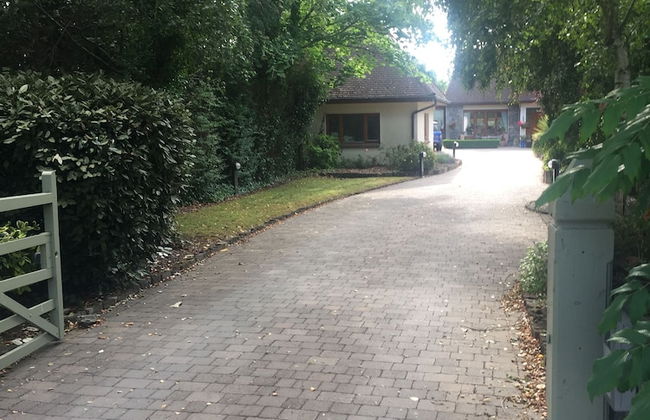 The Lodge - Photo 30