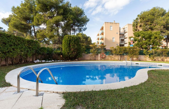 Montserrada - Foto 19